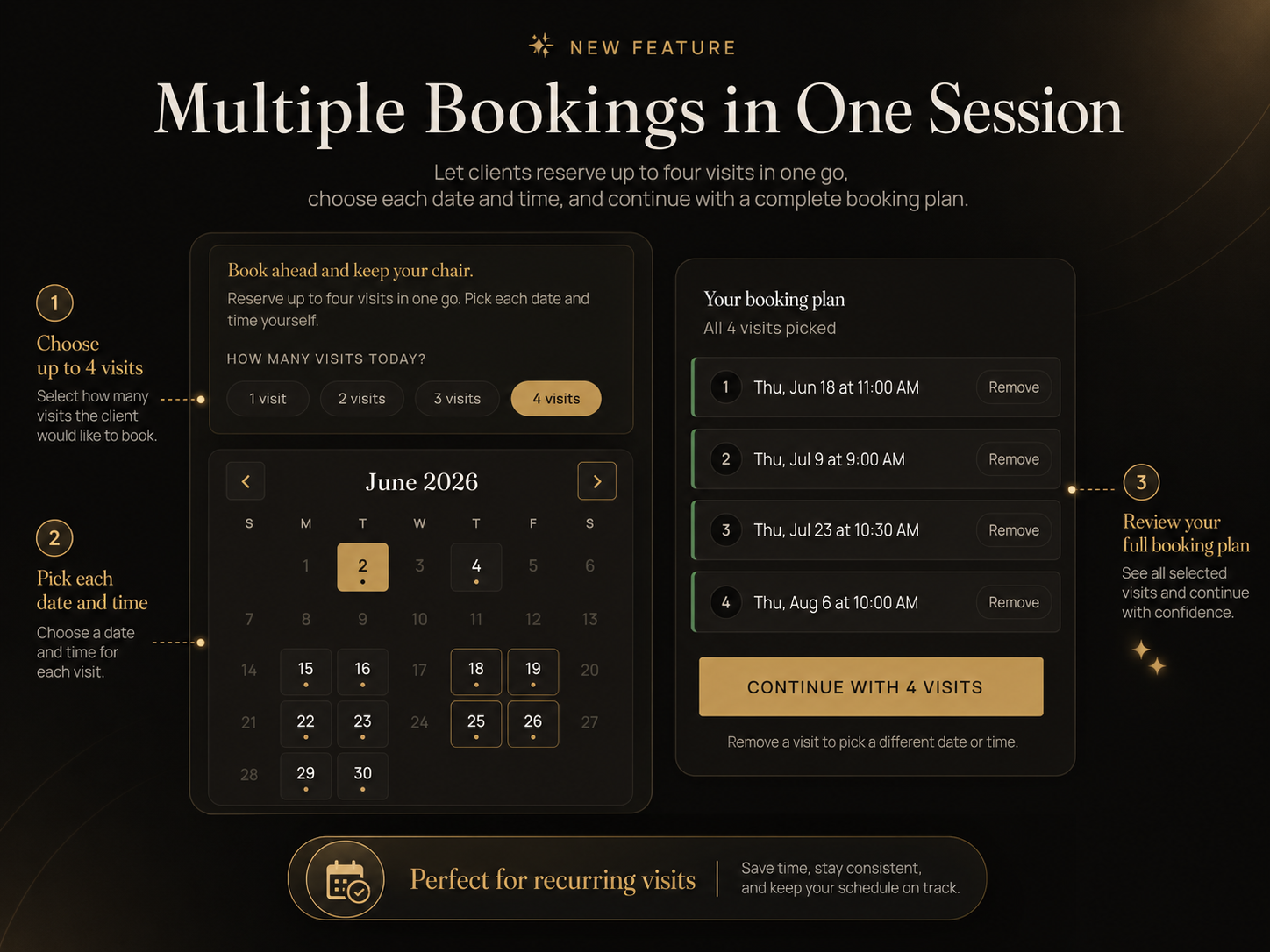 Multiple Bookings in One Session diagram letting a client reserve up to four future visits at once with date and time per visit, plus a full booking plan review.